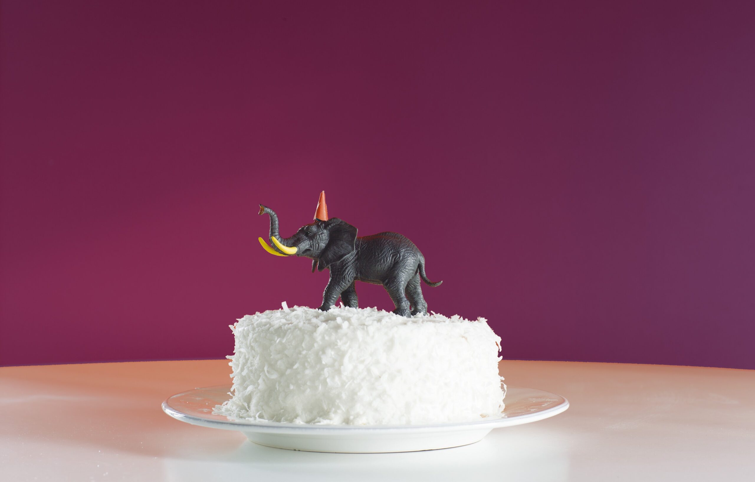 farba ceramiczna Regal 548 zero plam