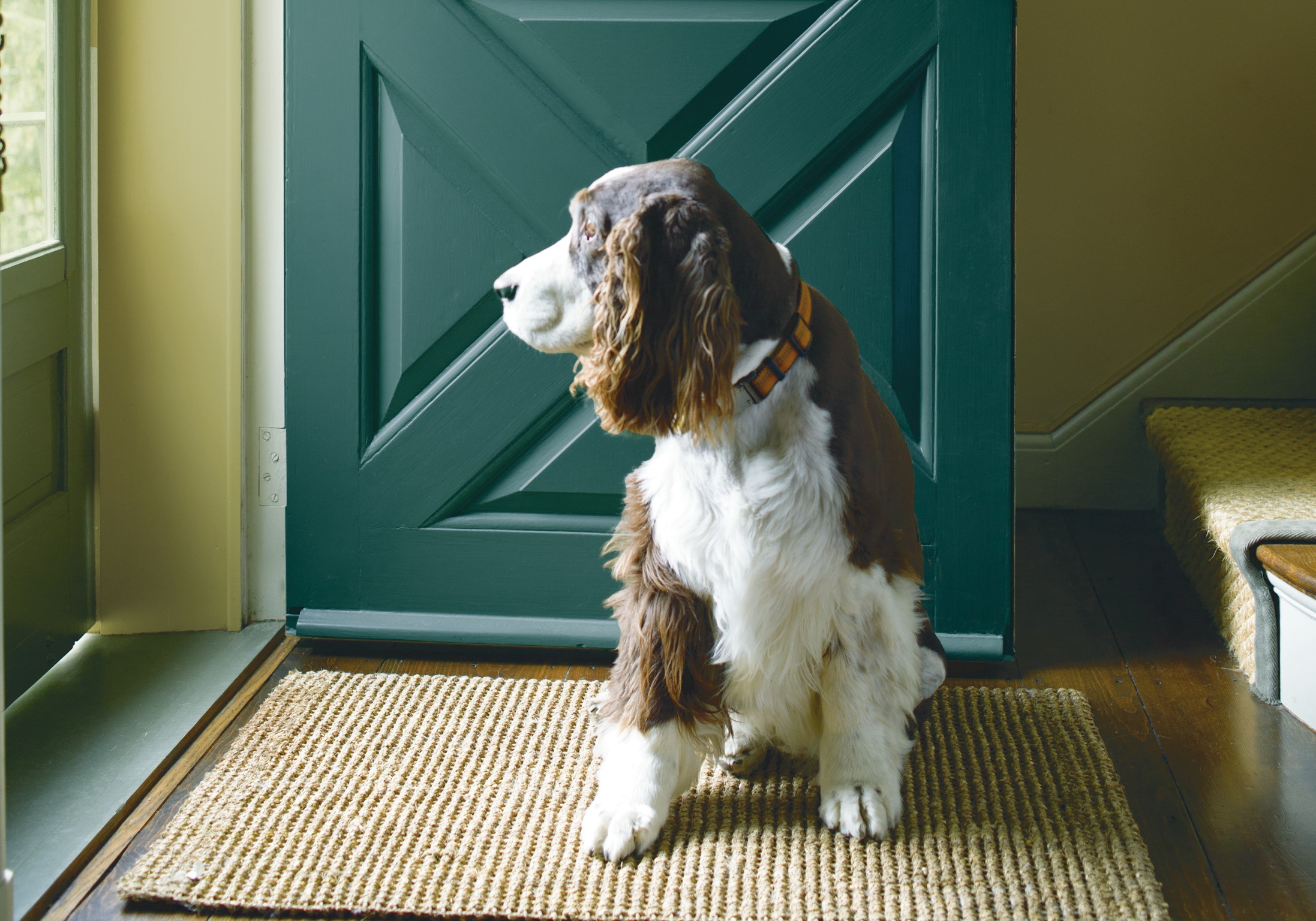 Regal 548 chroni ściany